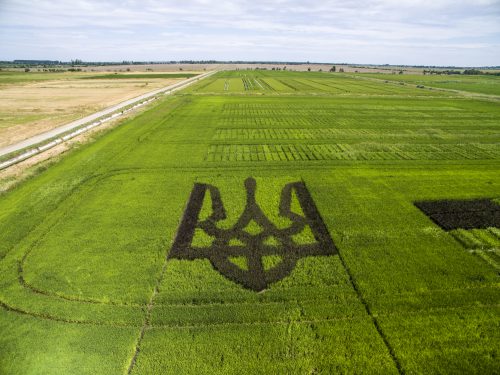 Землі Херсонщини