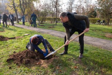 К годовщине освобождения Херсона в городе высадили аллею лип